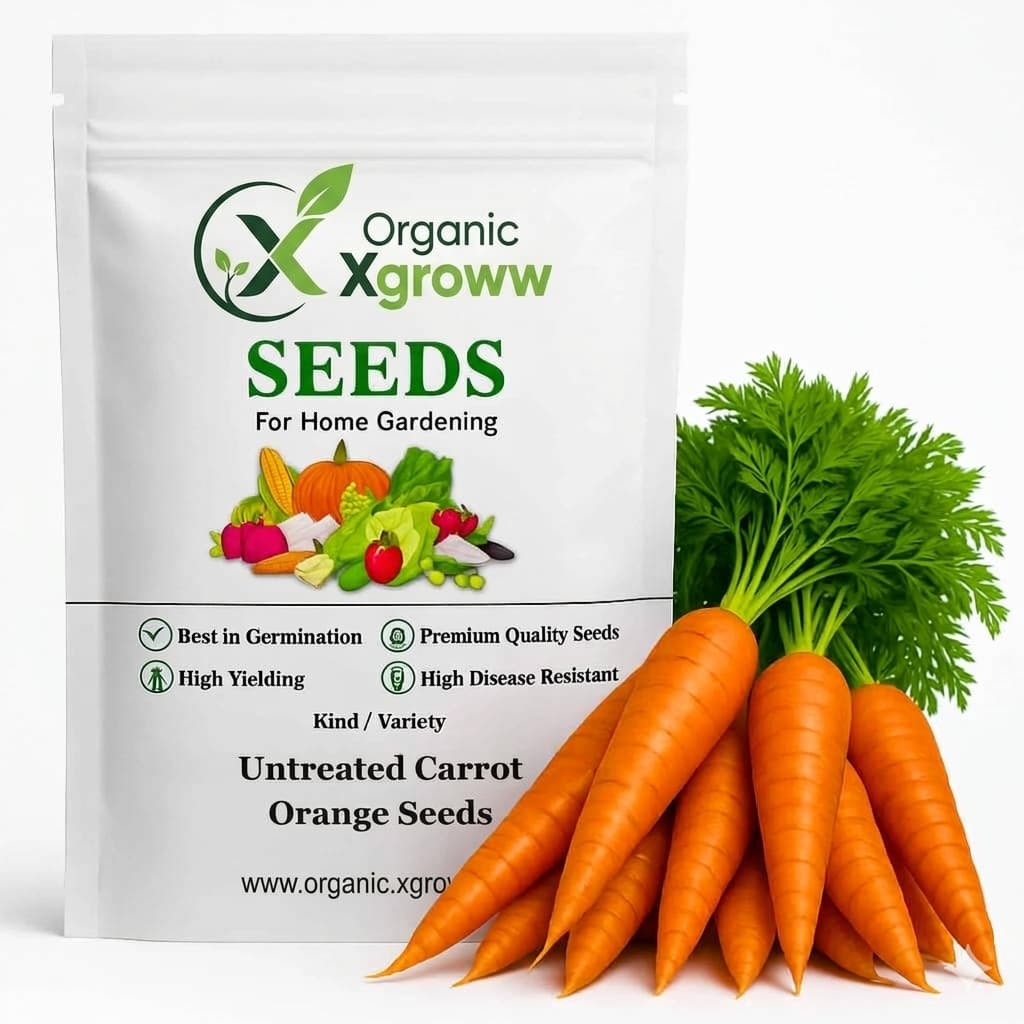 Untreated Carrot Orange Seeds