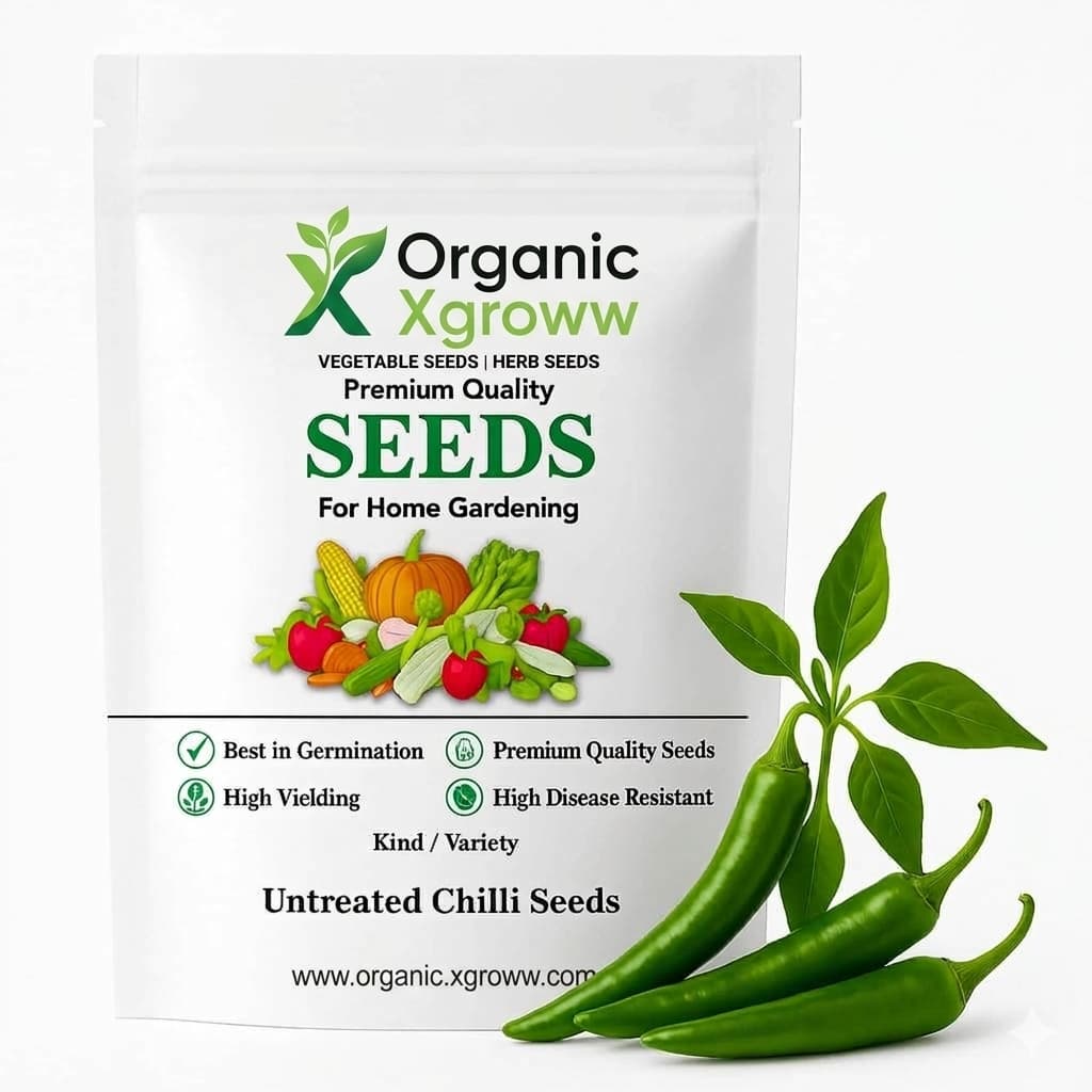 Untreated Chilli Seeds