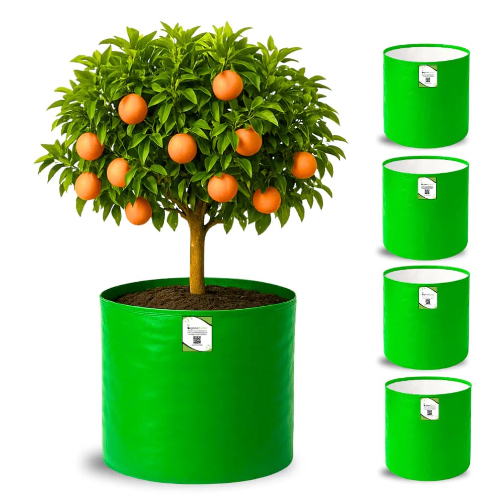 HDPE Grow Bags — 18×18 Inch (Pack of 5)