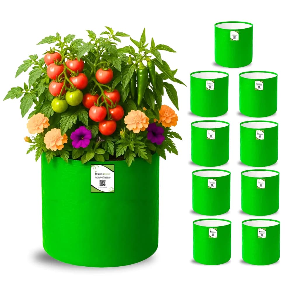 HDPE Grow Bags — 12×12 Inch (Pack of 10)
